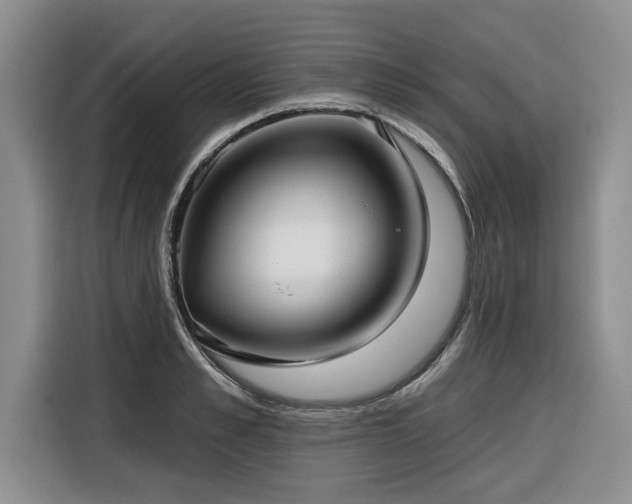 X0000116550989200912101410