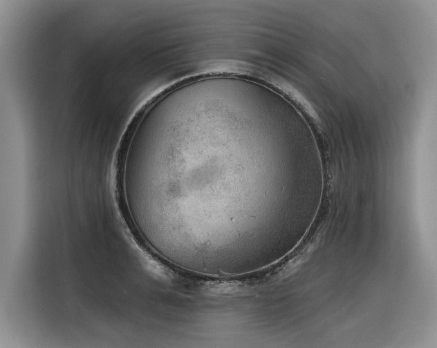 X0000116550991200912101410