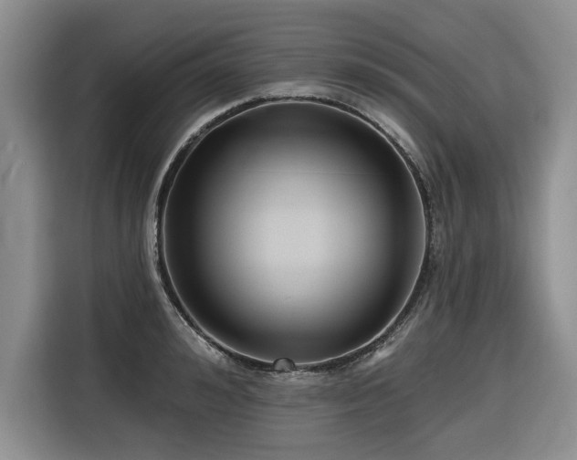 X0000116550992200912101409