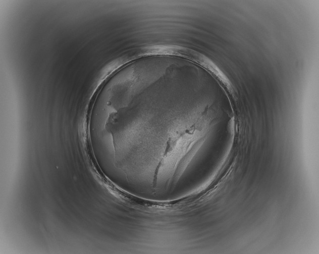 X0000116550994200912101409