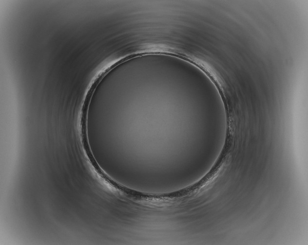 X0000116550995200912101409