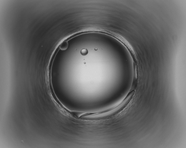 X0000116550996200912101409