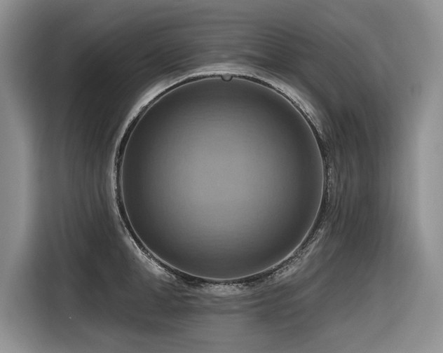 X0000116550998200912101409