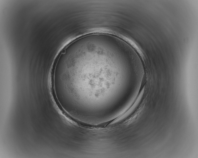 X0000116550999200912101409