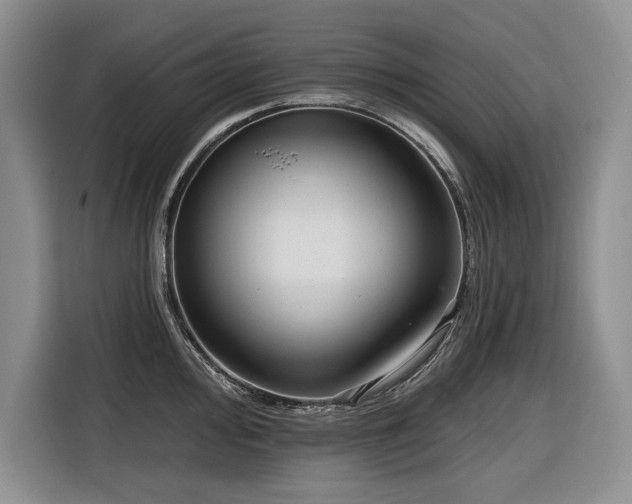 X0000116551000200912101409
