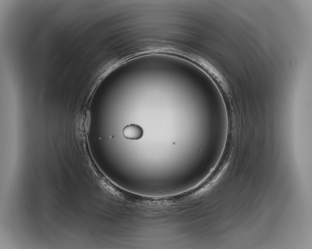 X0000116551001200912101409
