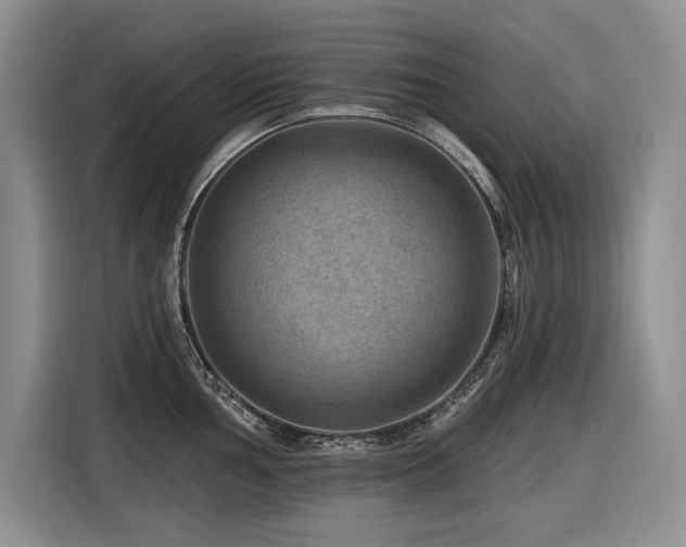 X0000116551002200912101409