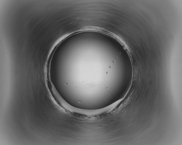 X0000116551003200912101409