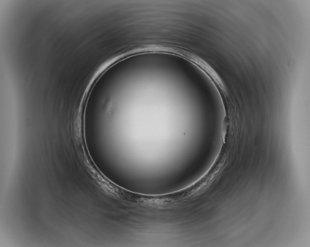 X0000116551004200912101409
