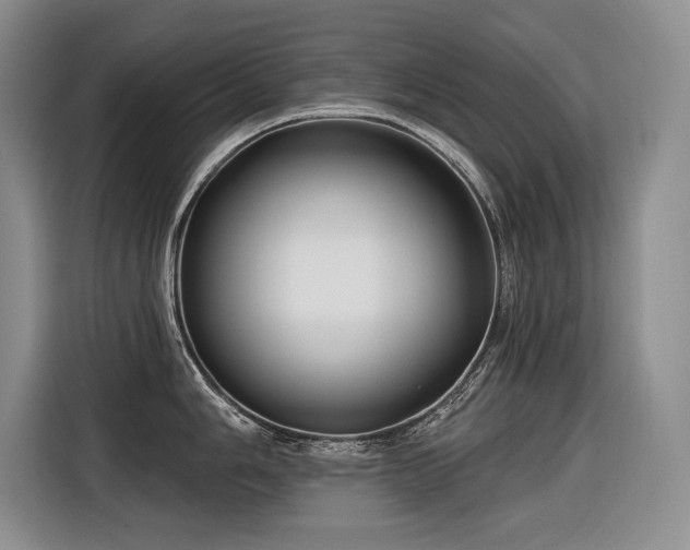 X0000116551006200912101409