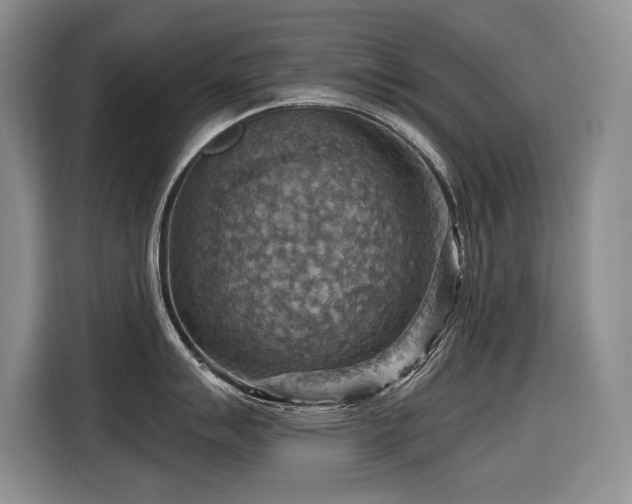 X0000116551007200912101409