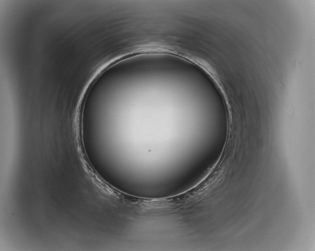 X0000116551008200912101409