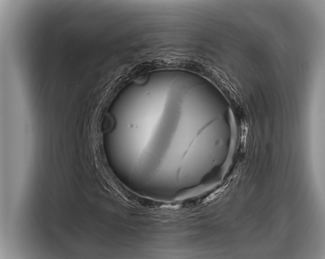 X0000116551009200912101409