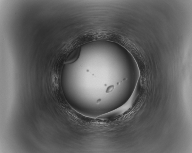 X0000116551010200912101409