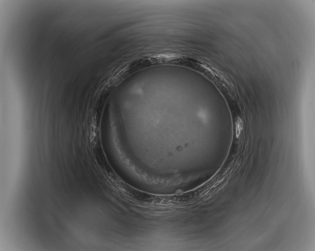 X0000116551011200912101409