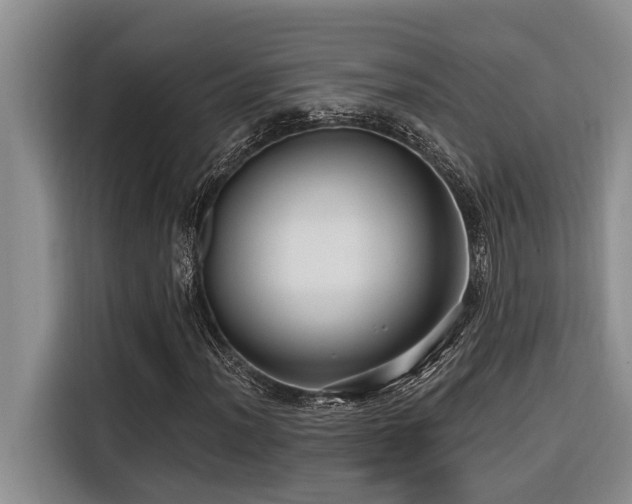 X0000116551012200912101409