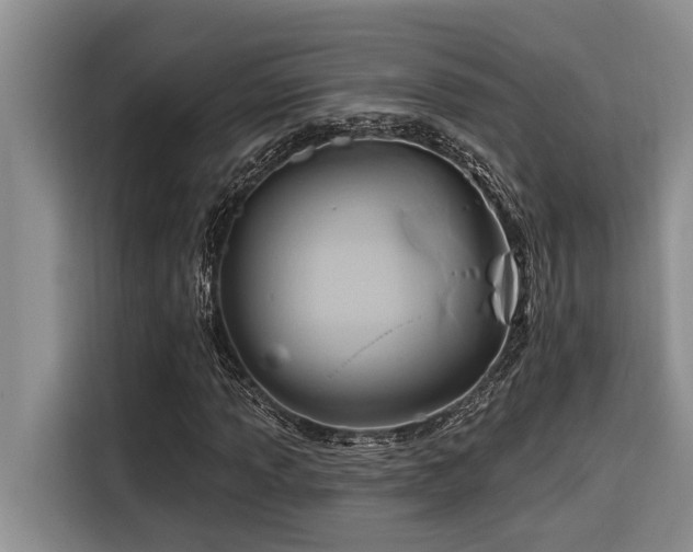 X0000116551013200912101409