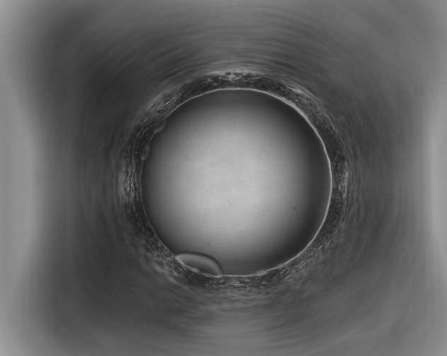 X0000116551014200912101409