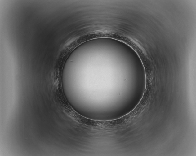 X0000116551015200912101409