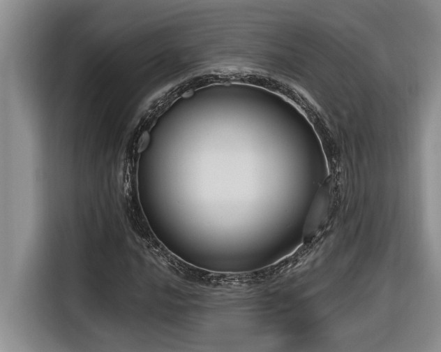 X0000116551016200912101409