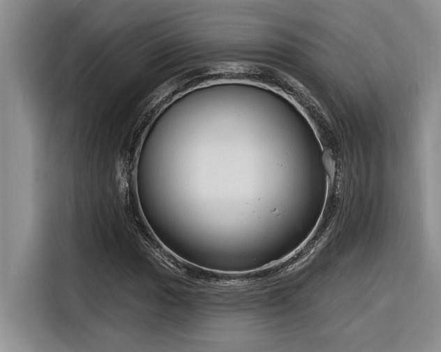 X0000116551017200912101409