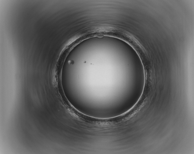 X0000116551018200912101409