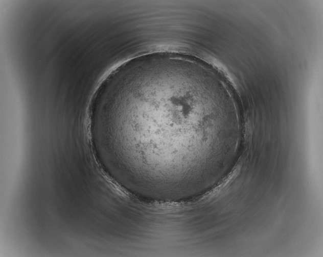 X0000116551019200912101409