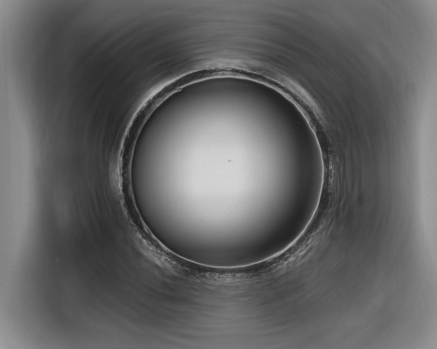 X0000116551020200912101409