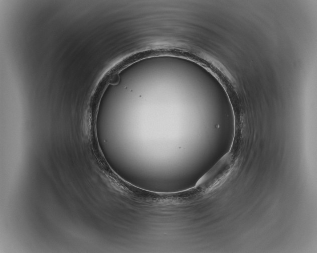 X0000116551021200912101409