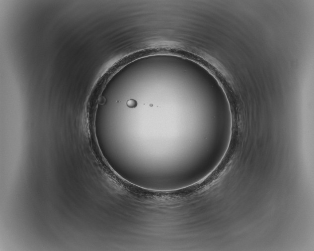 X0000116551022200912101409