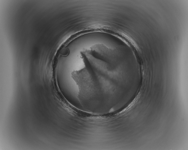 X0000116551023200912101409