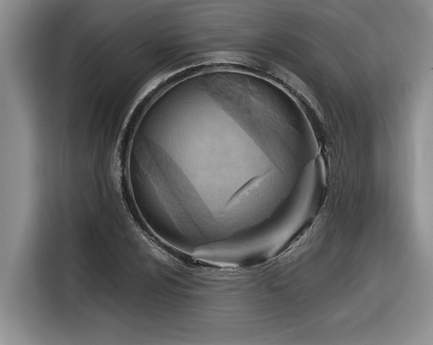 X0000116551024200912101409
