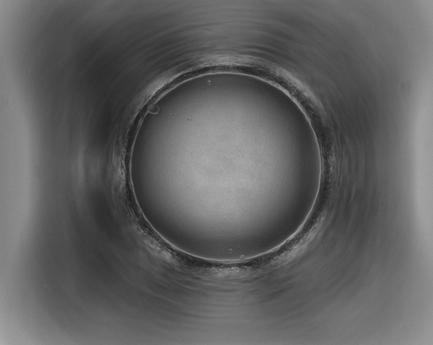 X0000116551025200912101409