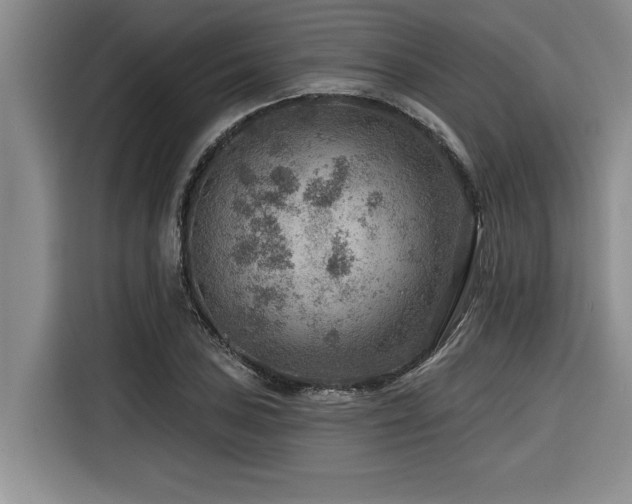 X0000116551027200912101409
