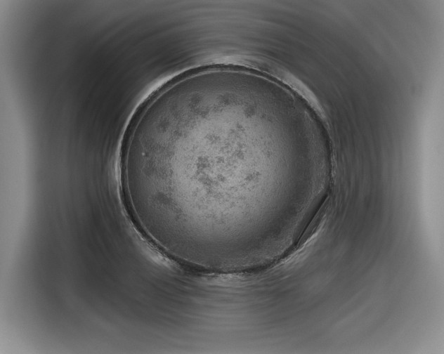X0000116551028200912101409