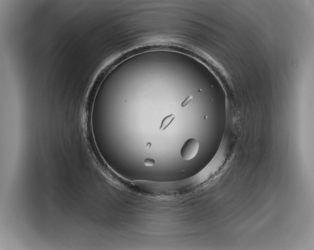 X0000116551029200912101409