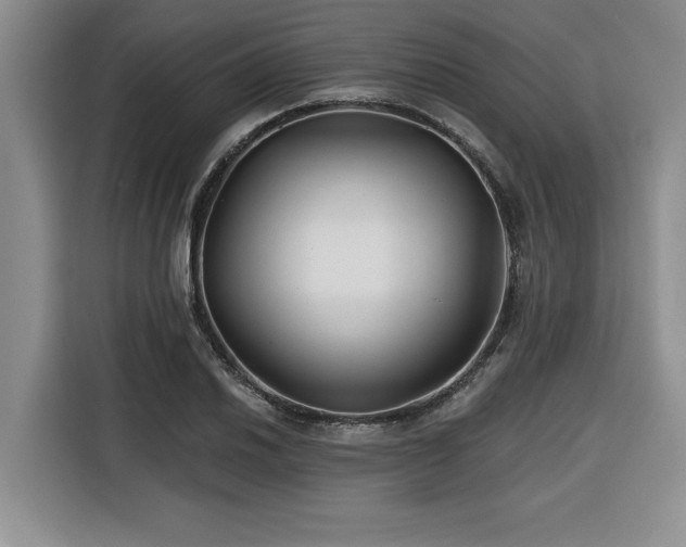 X0000116551030200912101409