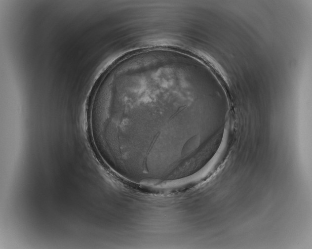 X0000116551031200912101409