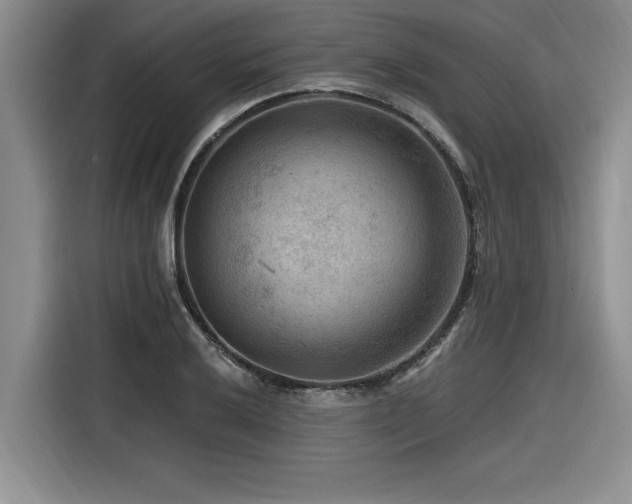 X0000116551032200912101409