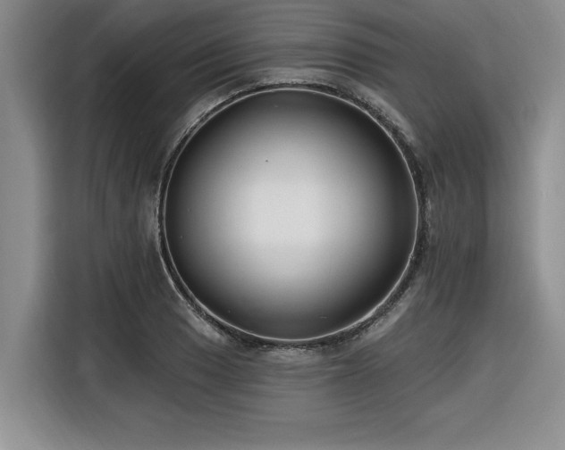 X0000116551033200912101409