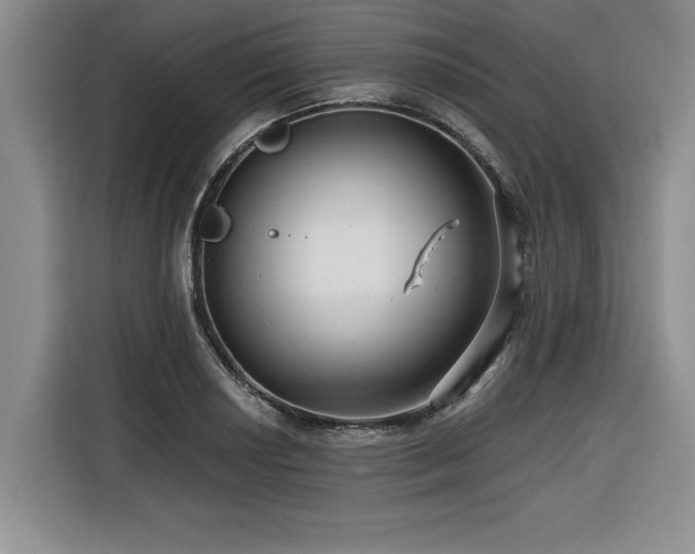 X0000116551034200912101409