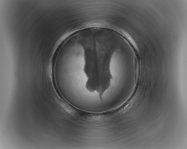 X0000116551035200912101409
