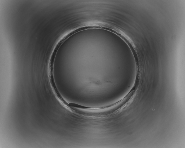 X0000116551037200912101409