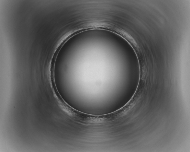 X0000116551039200912101409