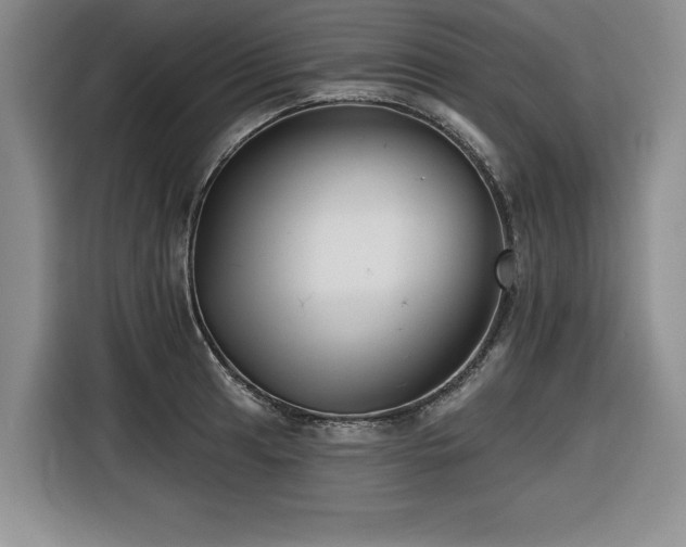 X0000116551041200912101409