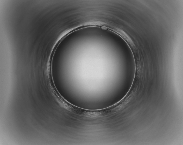 X0000116551044200912101409