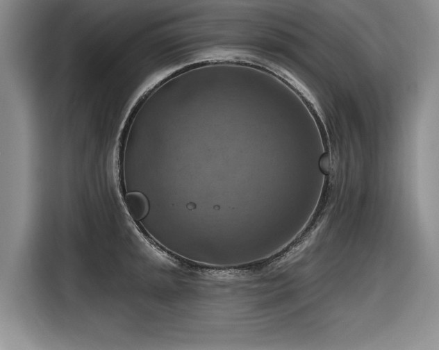 X0000116551045200912101409