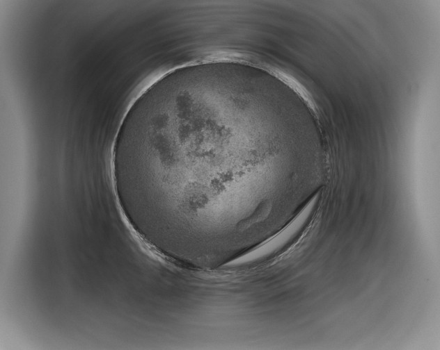 X0000116551047200912101409