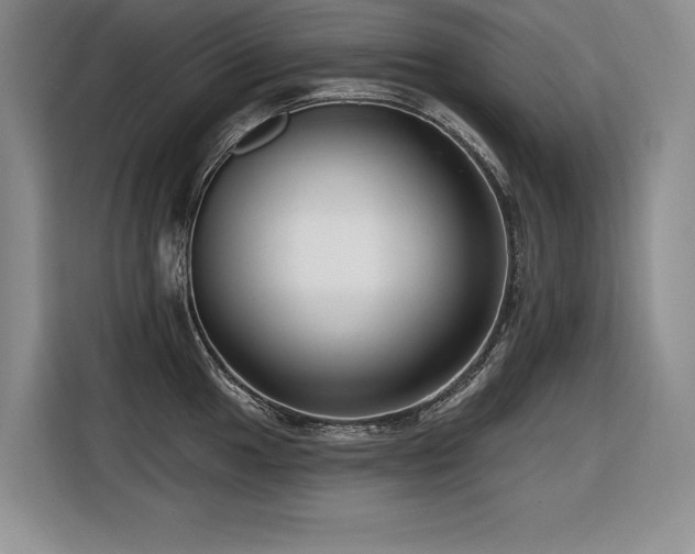 X0000116551049200912101409