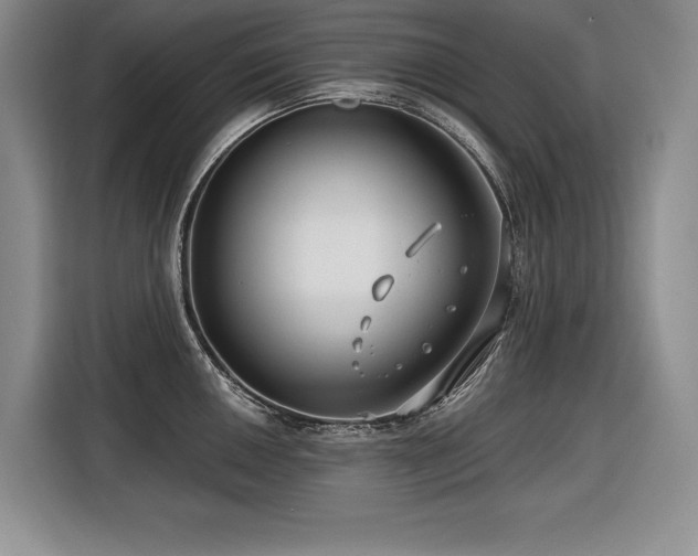 X0000116551050200912101409
